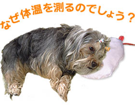 なぜ、体温を測るのでしょう。